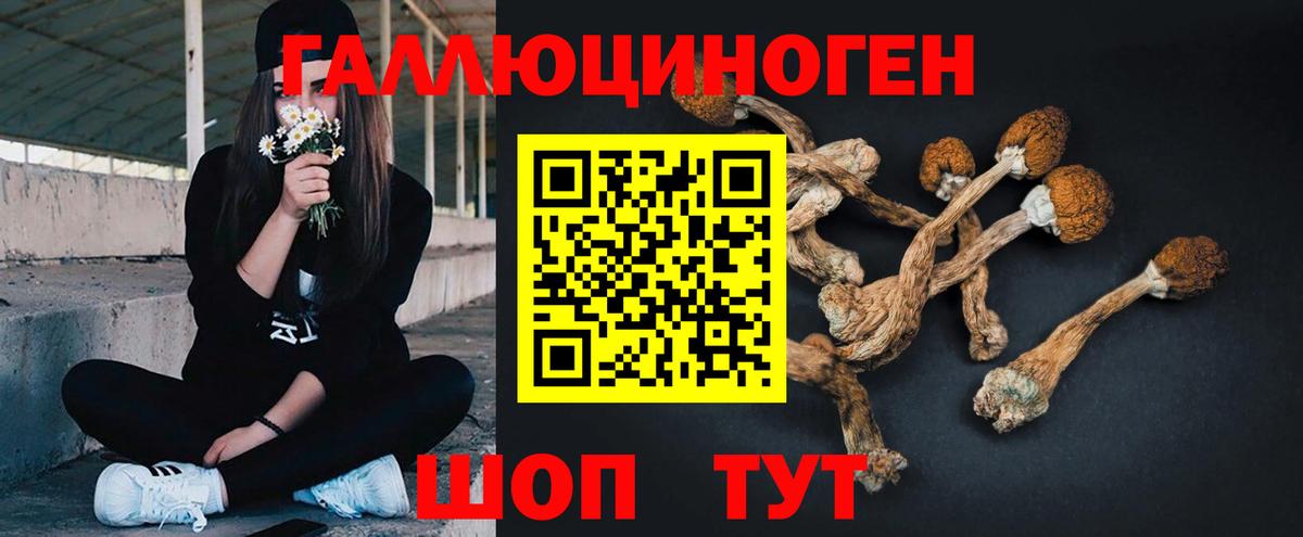 Псилоцибиновые грибы GOLDEN TEACHER  Вход с VPN  магазин продажи   Кропоткин 